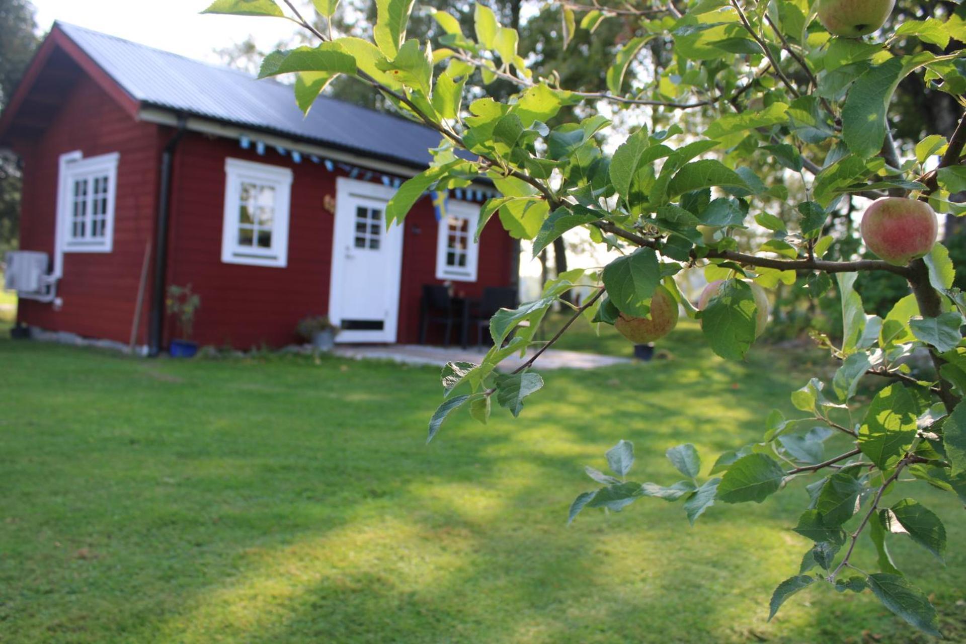 Stuga Gasstorp Hova Extérieur photo